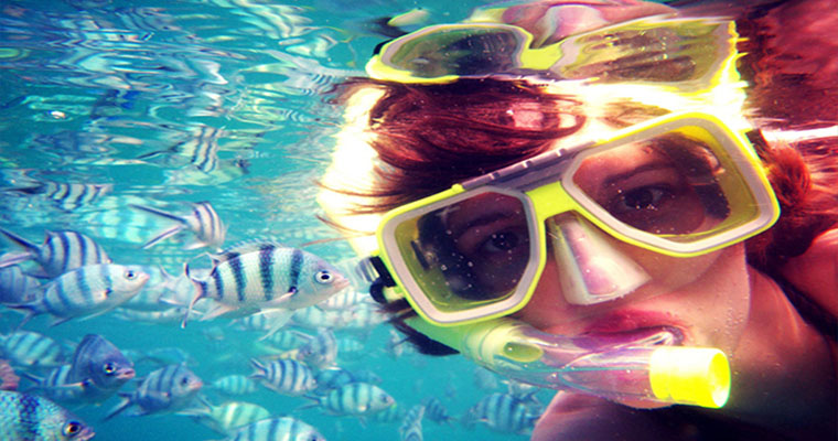 Reef Snorkel Adventure 